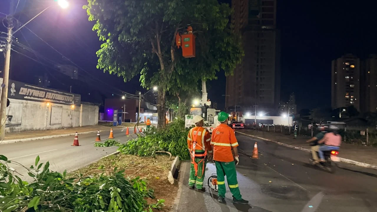 Comurg substitui jamelões e reforça arborização no Parque Amazônia