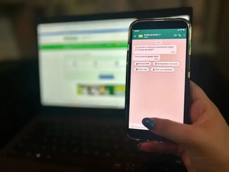 Veja como renovar a CNH e pedir 2ª via da identidade pelo WhatsApp em Goiás admin