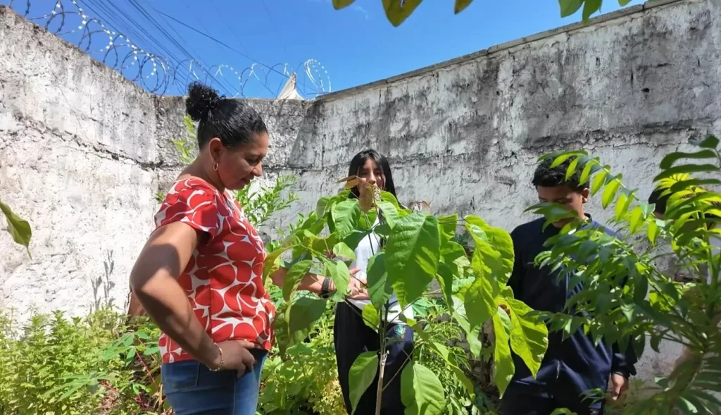 Professora transforma o ensino em legado e faz da natureza uma sala de aula admin