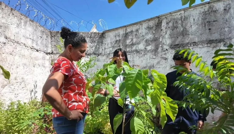 Professora transforma o ensino em legado e faz da natureza uma sala de aula admin