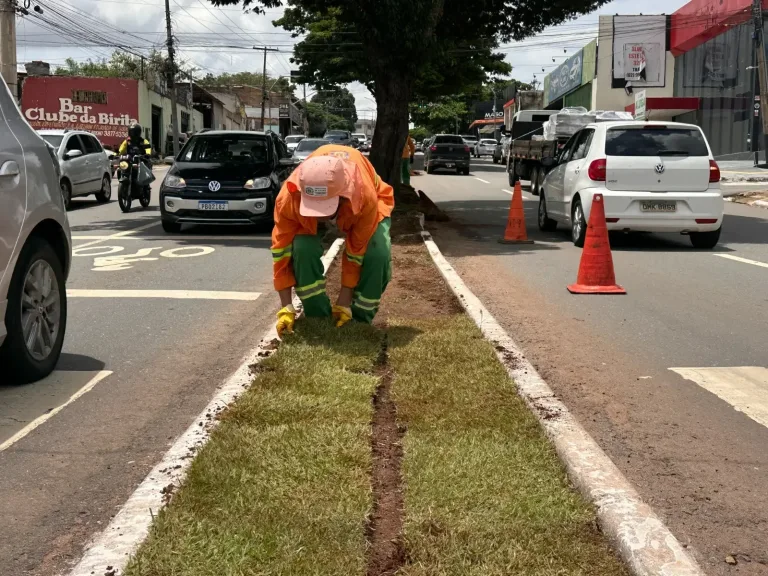 Após vexame com grama sintética, Goiânia aposta em plantio de 104 mil m² de grama natural admin